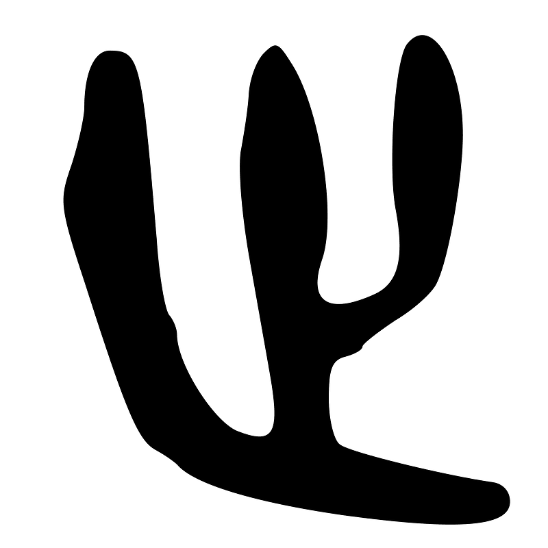 ACC-b02950