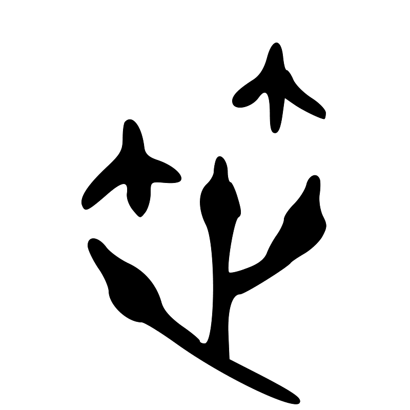ACC-b02961