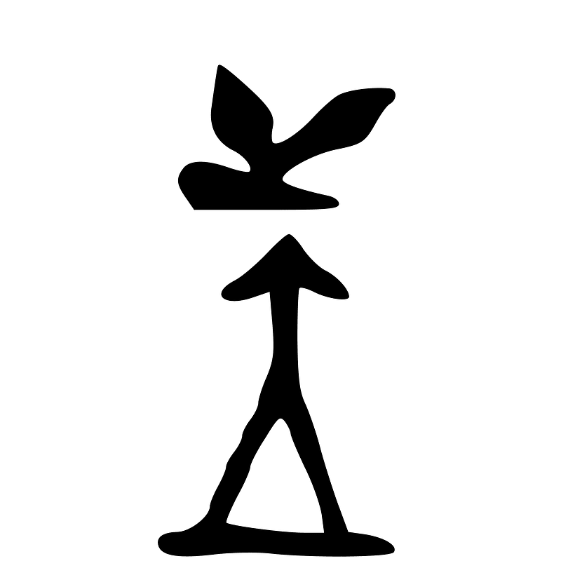 ACC-b02965