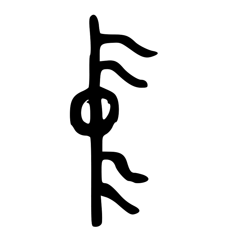 ACC-b00636