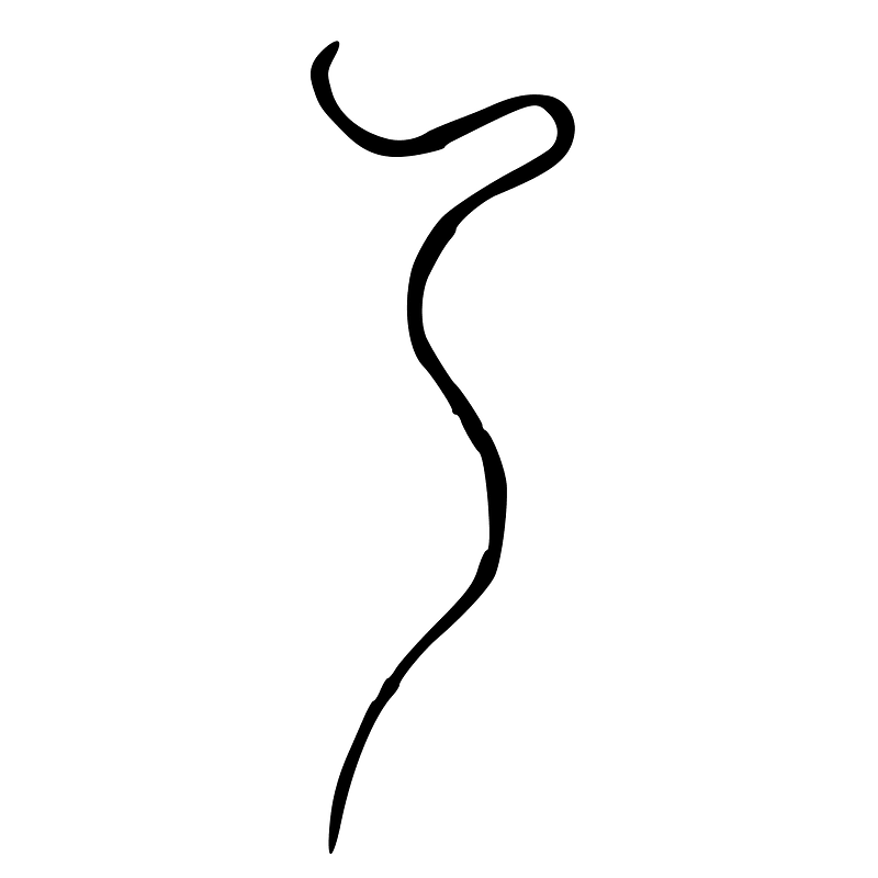 ACC-b07036