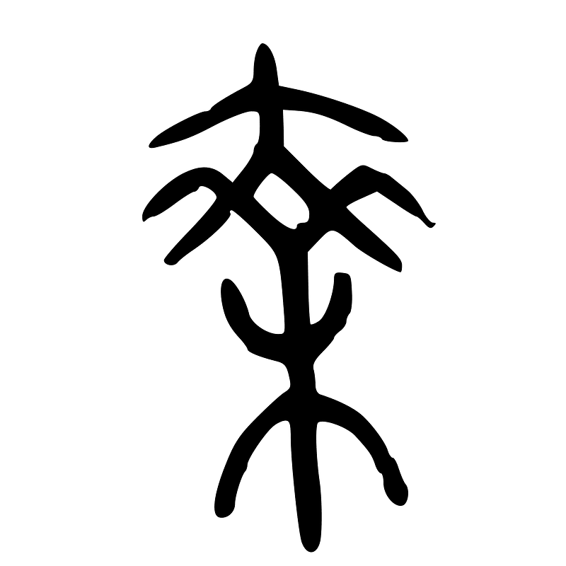 ACC-b08546