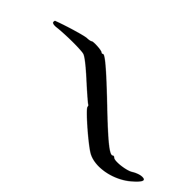 ACC-b20231