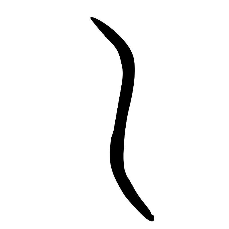 ACC-b20254
