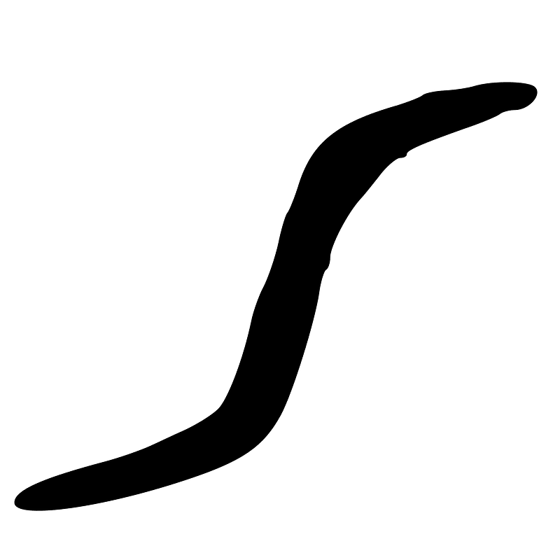 ACC-b20261