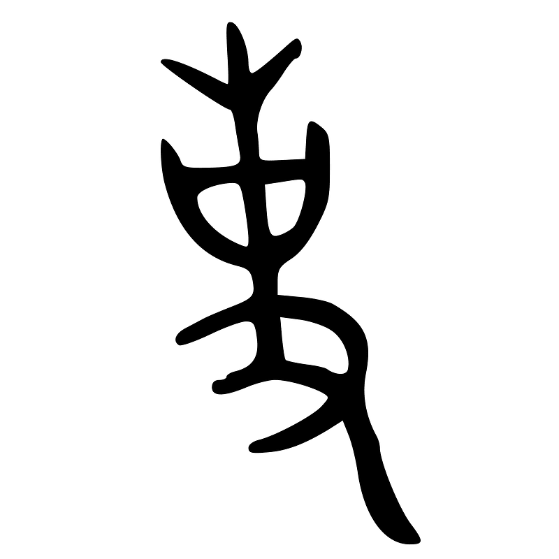 ACC-b04263