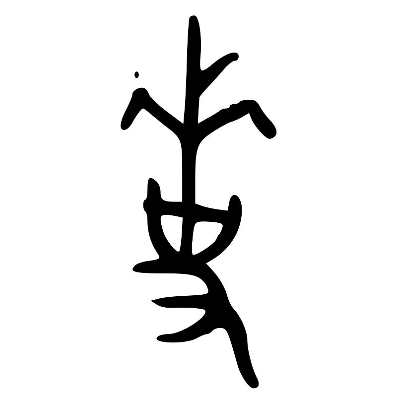 ACC-b04331