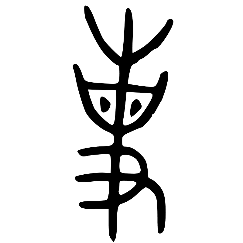 ACC-b04333