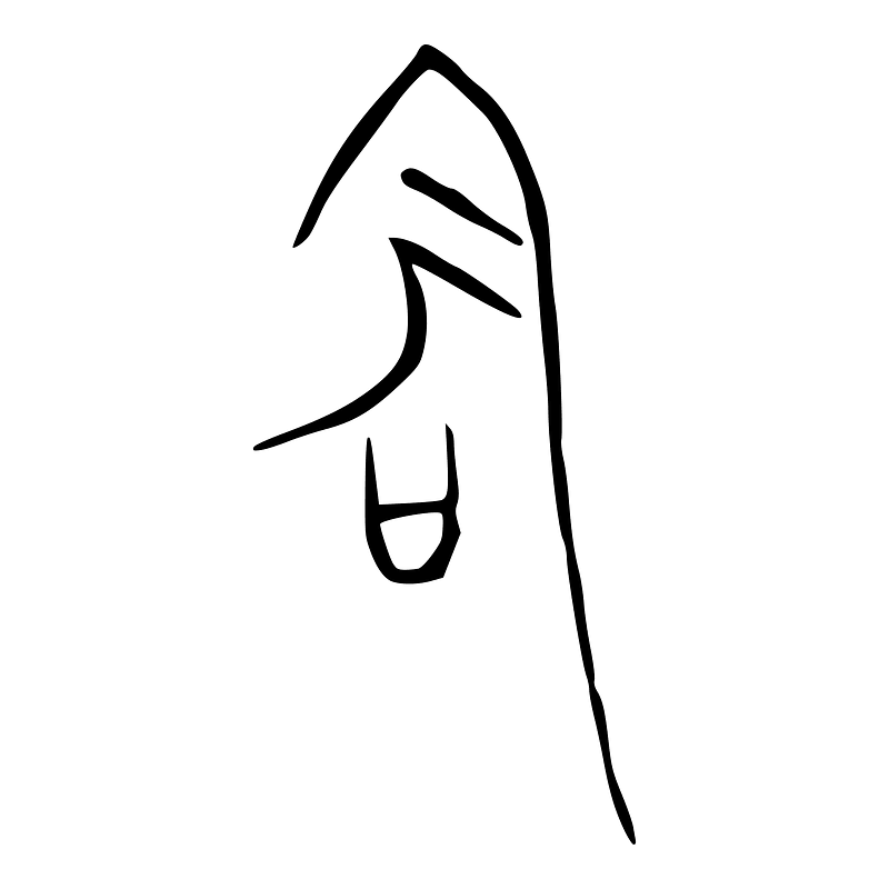 ACC-b08029