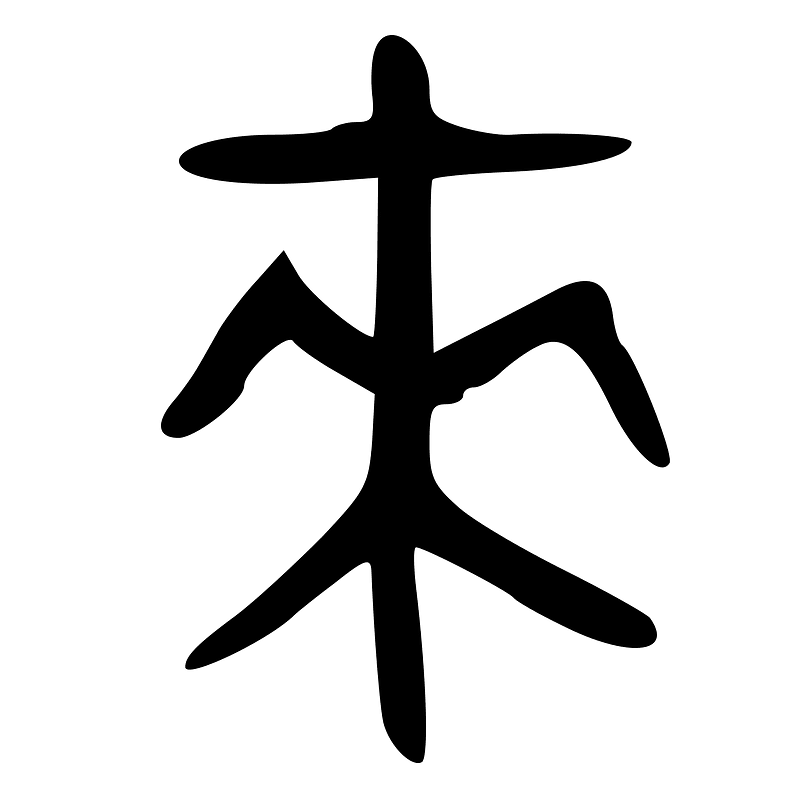 ACC-b08488