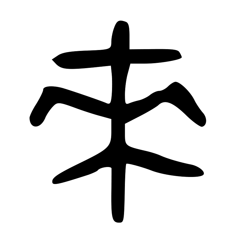 ACC-b08491
