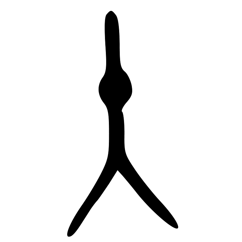 ACC-b08076