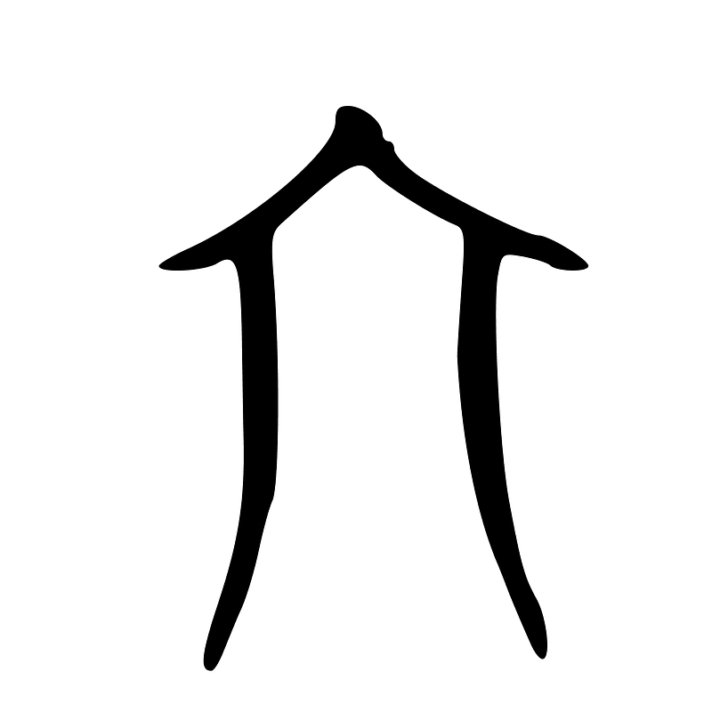 ACC-b19886