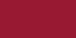 Flag of Aguilar de Campos Spain