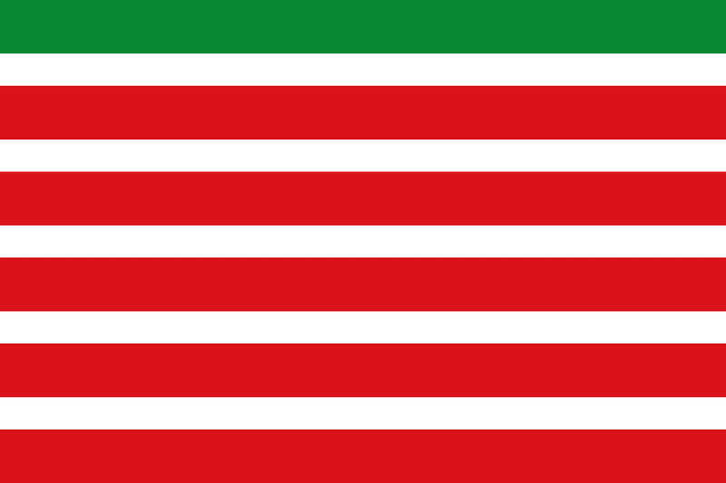 Flag of Trabazos Spain