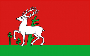 POL Flaga gminy Osieck COA