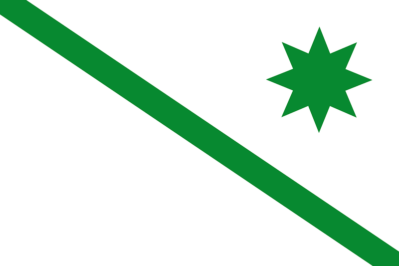 Flag of San José del Valle Spain