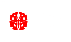 Burgee of Winchester Boat Club