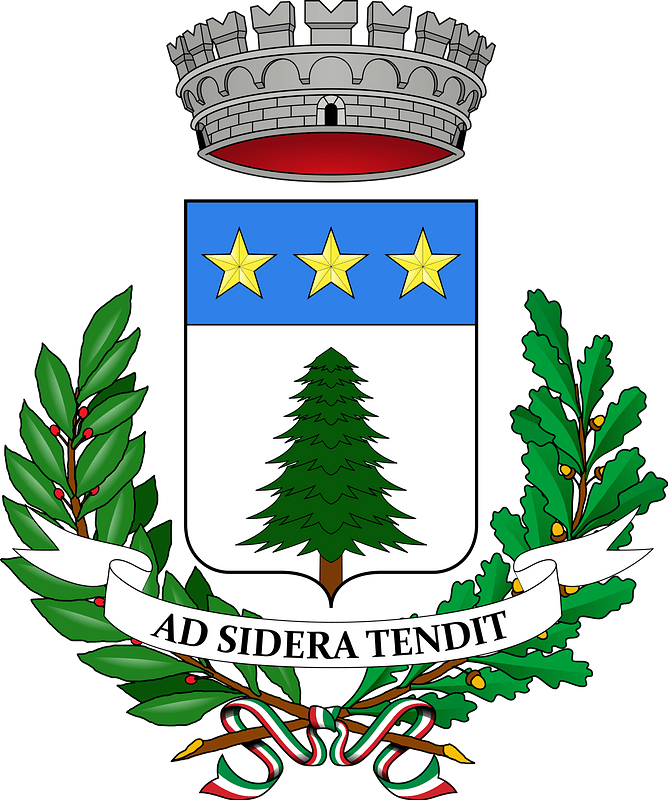 Pino Torinese-Stemma