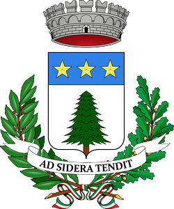 Pino Torinese-Stemma