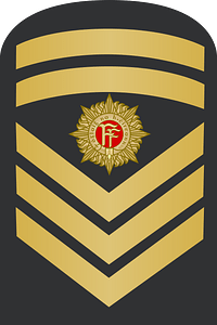 IE Navy Rank Insignia-SCPO