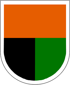 US Army 112th SIG BN Flash