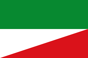 Flag of San Luís de Gaceno