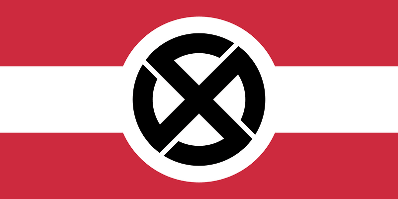 Flag of the Deutsche Jugend of Volksbund (Hungary)