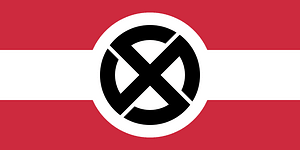 Flag of the Deutsche Jugend of Volksbund (Hungary)