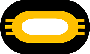 US Army 3rd INF BCT-101st ABN Div Trimming