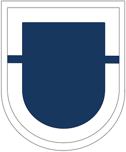 US Army 1st BN-325th Inf Reg Flash