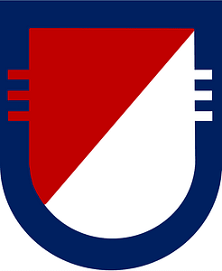 US Army 3rd Squadron-73rd Cavalry Regiment Flash