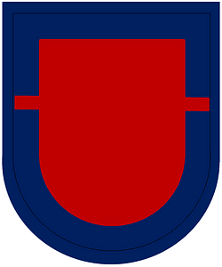 US Army 1st Bn-501st Inf Reg Flash
