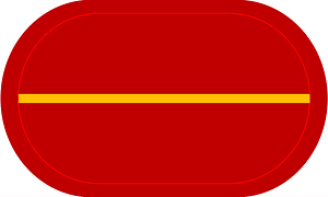 US Army 1st BN-320th Field Arty Reg Trimming
