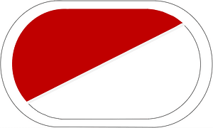US Army 17th Cavalry Regiment Trimming