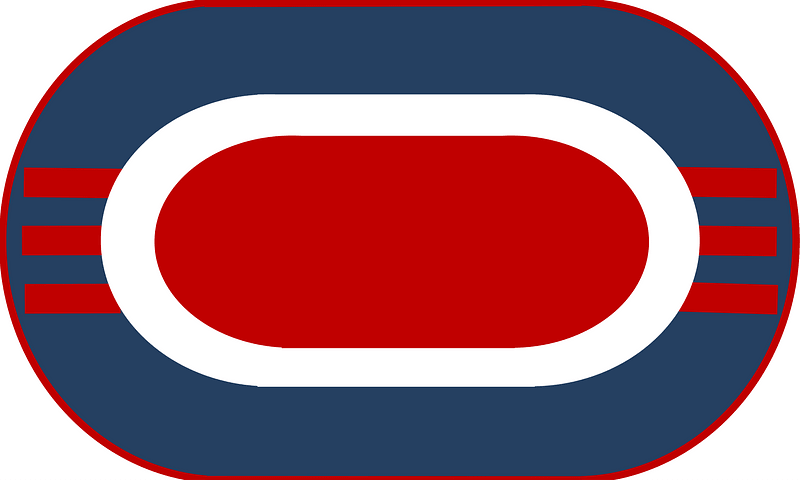 US Army 3rd BN-187th Inf Reg Trimming