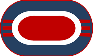 US Army 3rd BN-187th Inf Reg Trimming