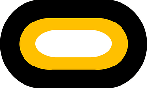 US Army 101st ABN Div Trimming