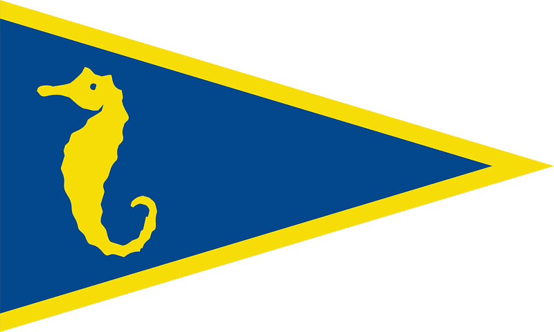 Burgee of Iate Clube de Santos