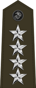 US Marine 10 shoulderboard vertical