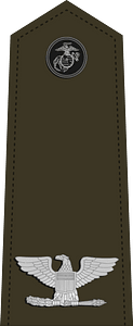US Marine O6 shoulderboard vertical