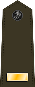 US Marine O1 shoulderboard vertical