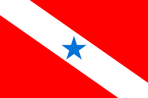 Bandeira do Pará