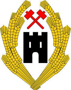 Austria CoA 1918