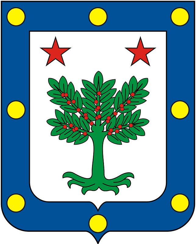 COA Baron of Bemposta