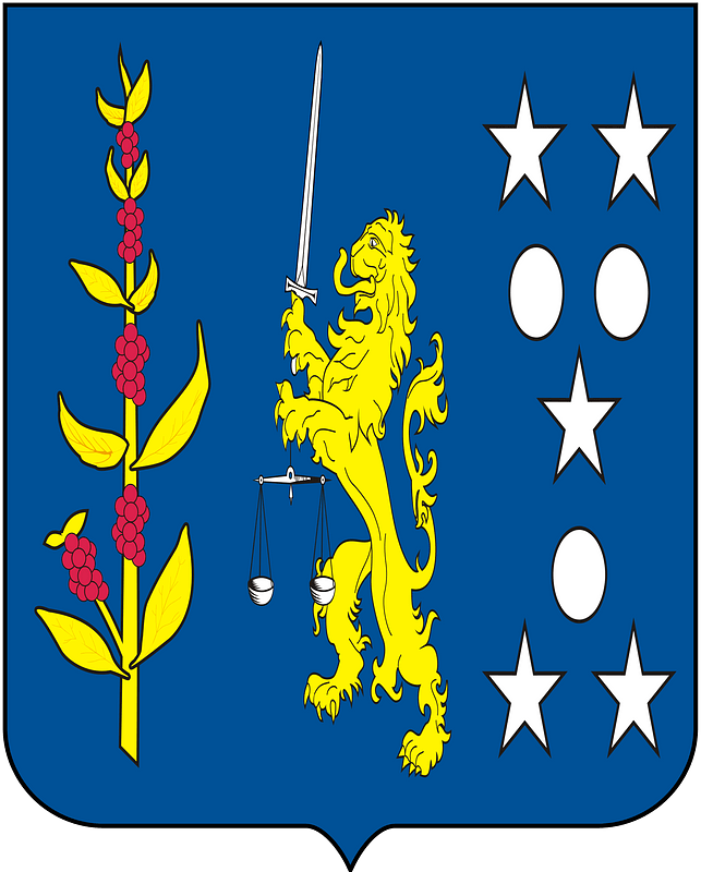 COA Baron of Lorena