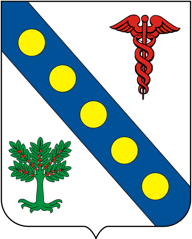 COA Baron of Silveiras