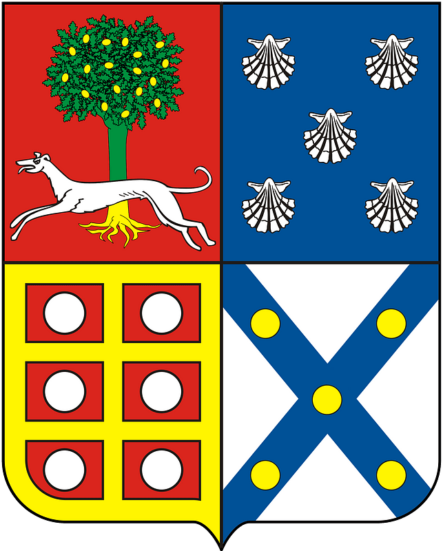 COA Viscount of Piraçununga