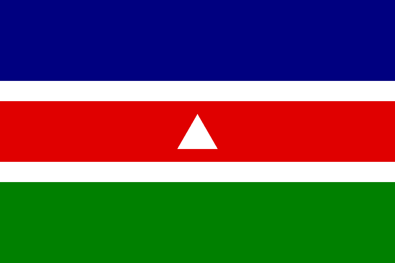 Bandeira de Juiz de Fora