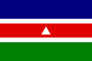 Bandeira de Juiz de Fora
